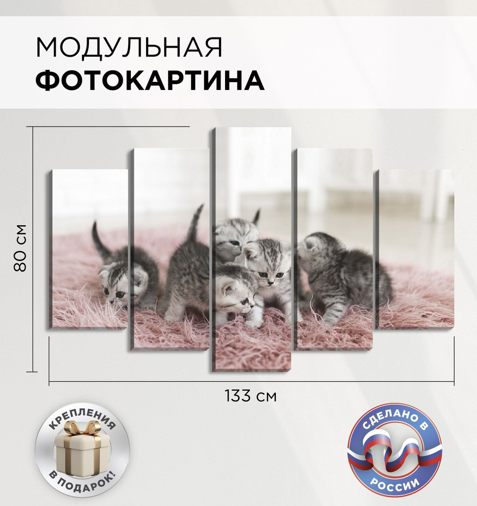 Модульная картина "Котята" для интерьера на стену 133х80см, Картина на холсте из 5 частей, Фотопанно #1