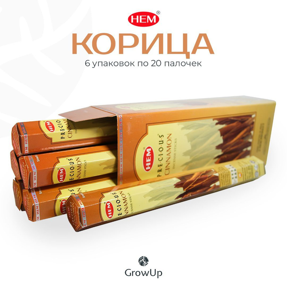 HEM Корица - 6 упаковок по 20 шт - ароматические благовония, палочки, Cinnamon - Hexa ХЕМ  #1