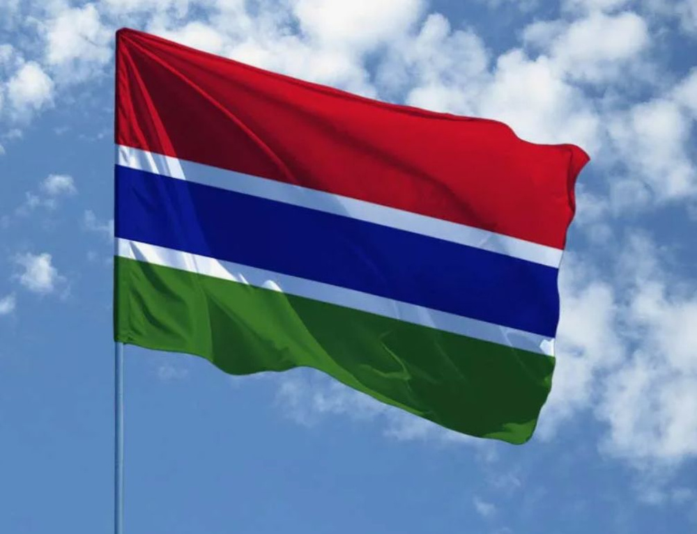Флаг Гамбии 90х135 см с люверсами #1