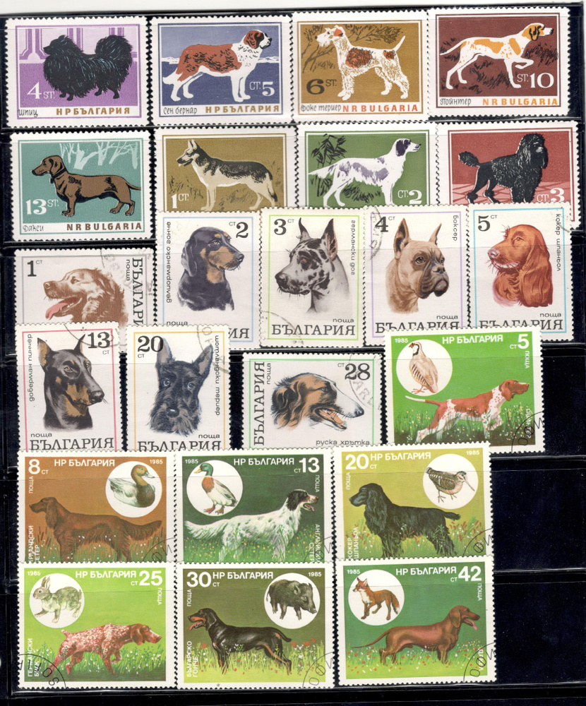 Комплект марок с изображением собак, Болгария 1970-1980-е гг.  #1