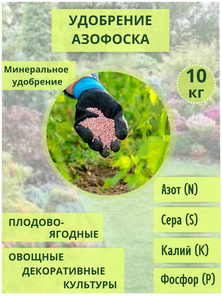 Удобрение Азофоска 10 кг для кустарников, деревьев , цветочных культур  #1