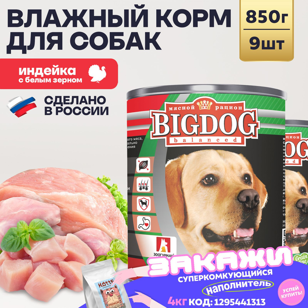 Влажный корм для собак крупных и средних пород Зоогурман ПРЕМИУМ Big Dog Индейка с белым зерном, 850 #1