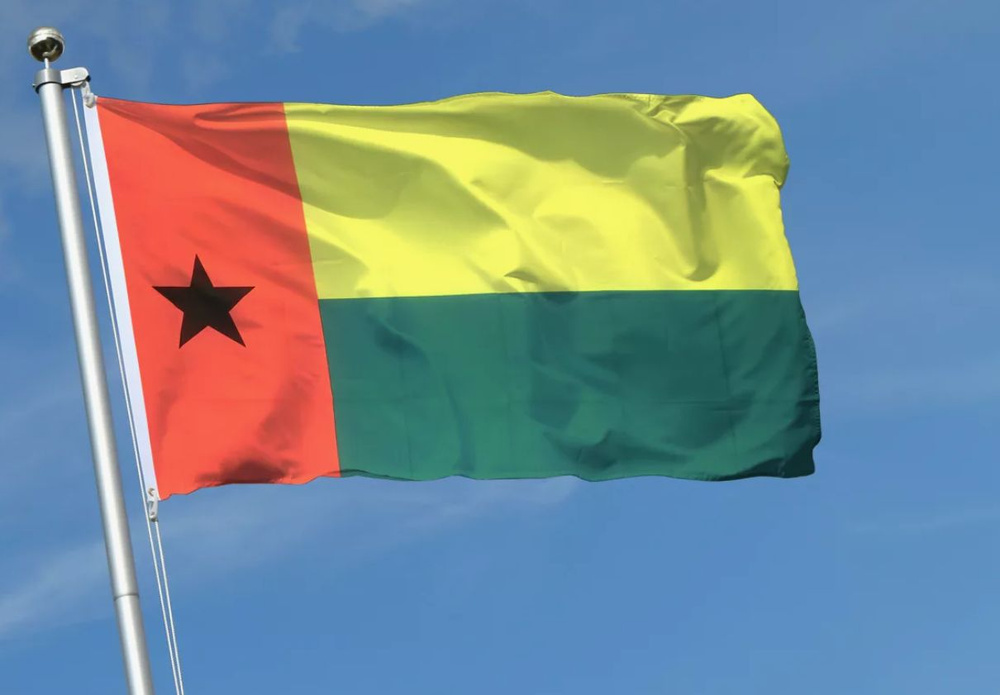 Флаг Гвинеи-Бисау 70х105 см #1
