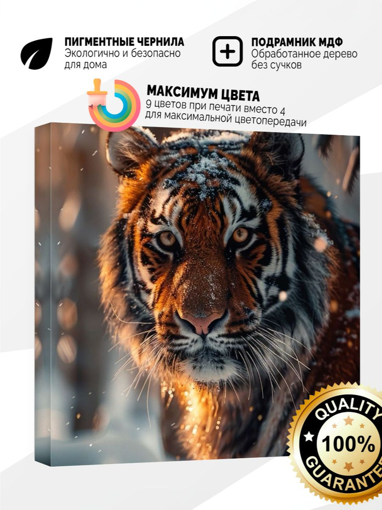 Картина на холсте 40x40 Тигр в снегу #1