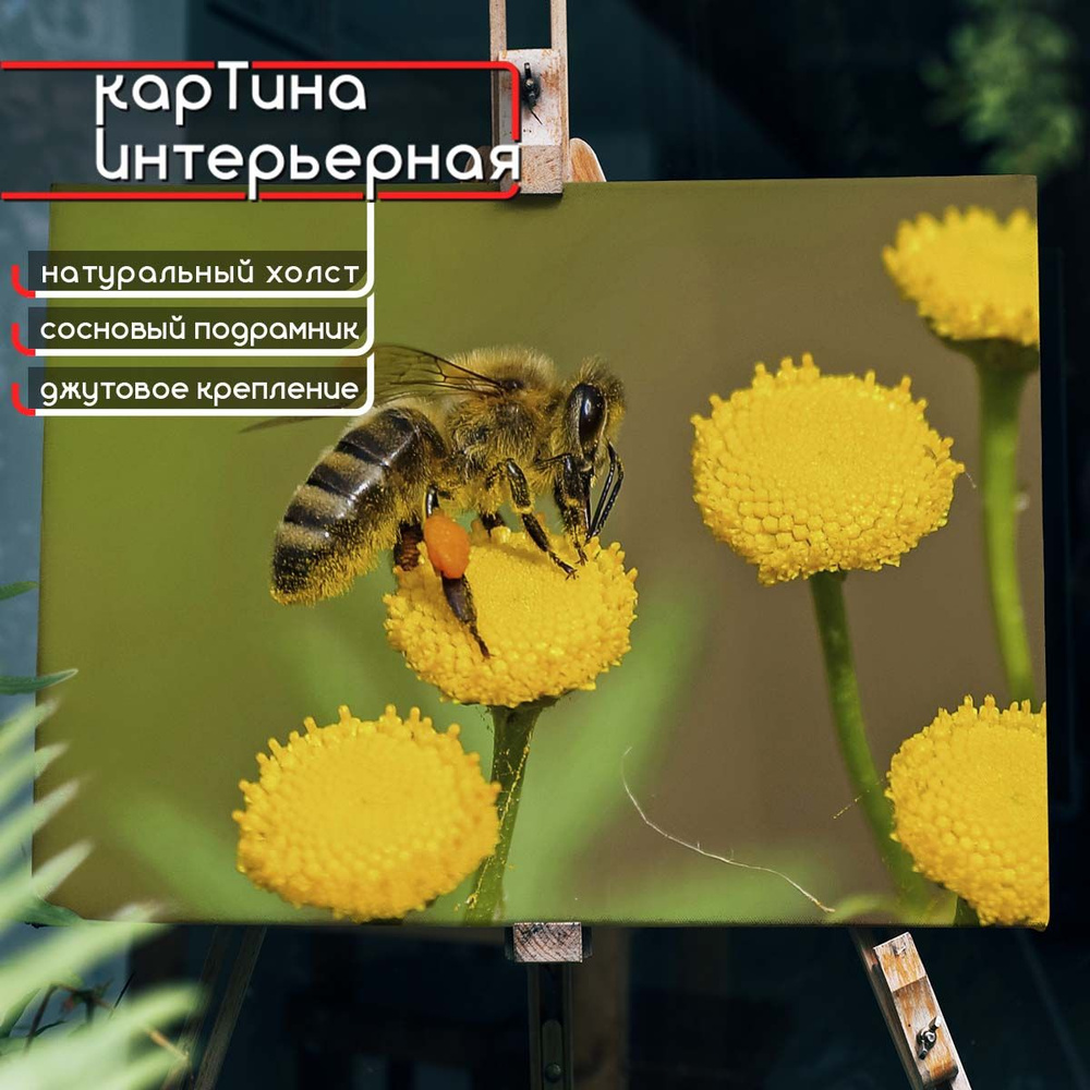 Картина интерьерная на холсте - Пчелка на желтом цветке 60x80 см  #1