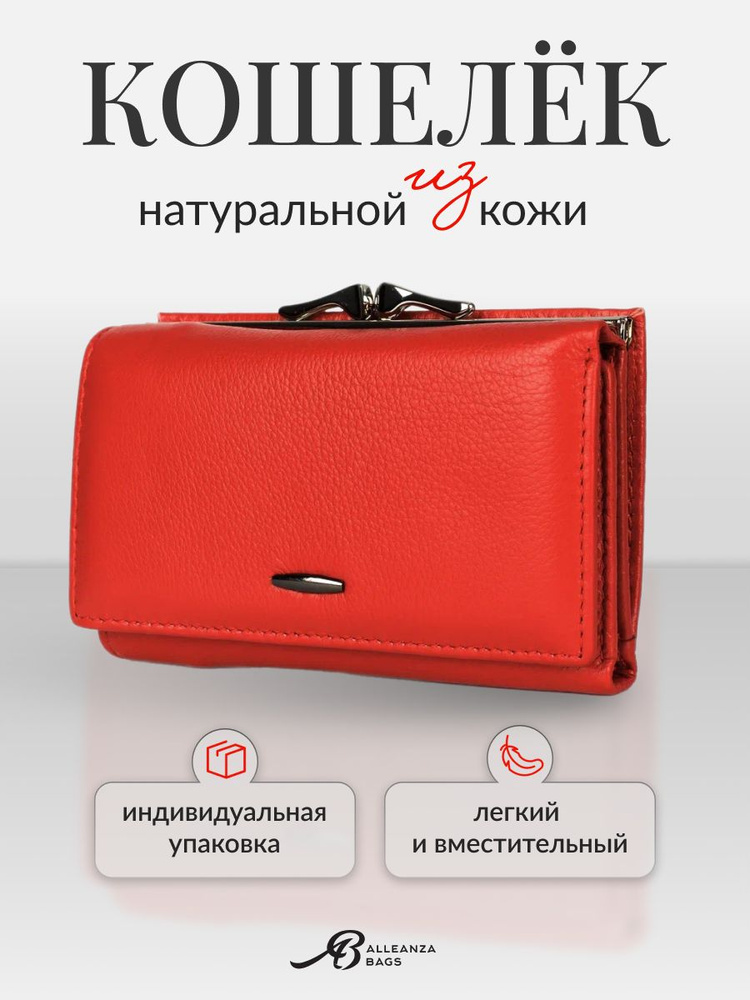 Alleanza Bags Кошелек #1