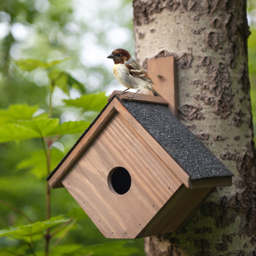 Скворечник для птиц из массива сосны Соэ с рубероидом уличный, прочная деревянная кормушка для птиц коричневая, #1