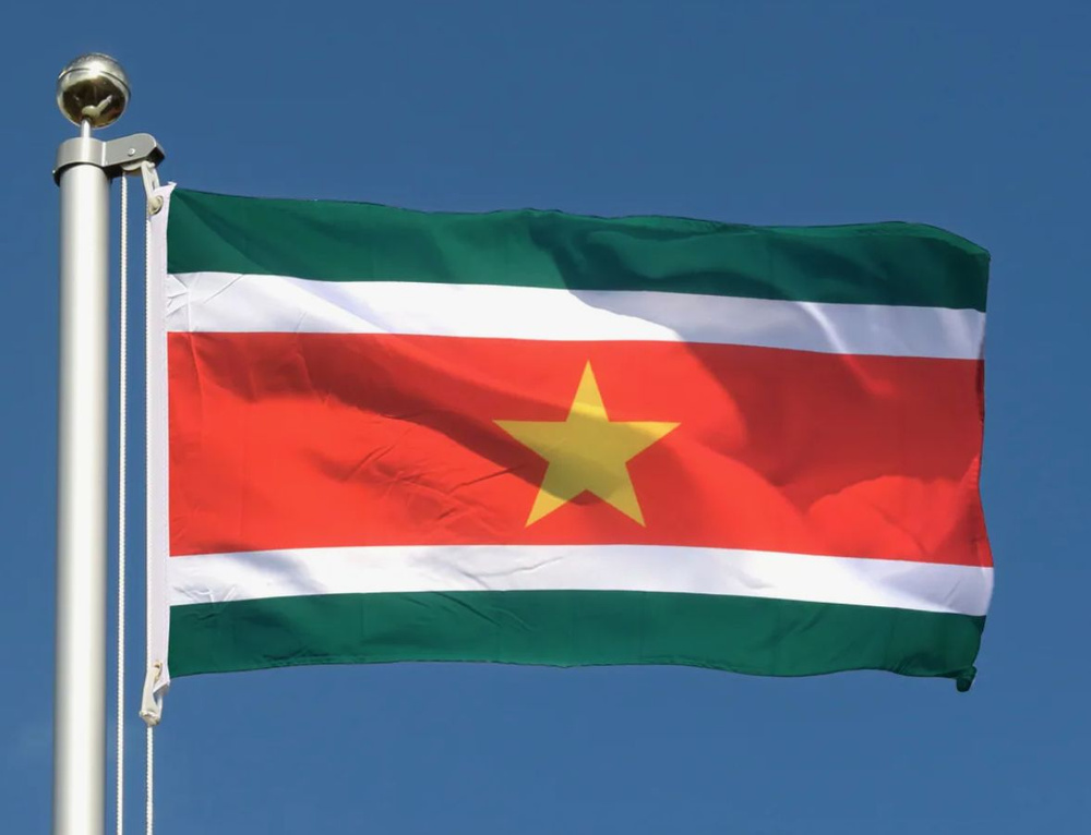 Флаг Суринама 80х120 см с люверсами #1