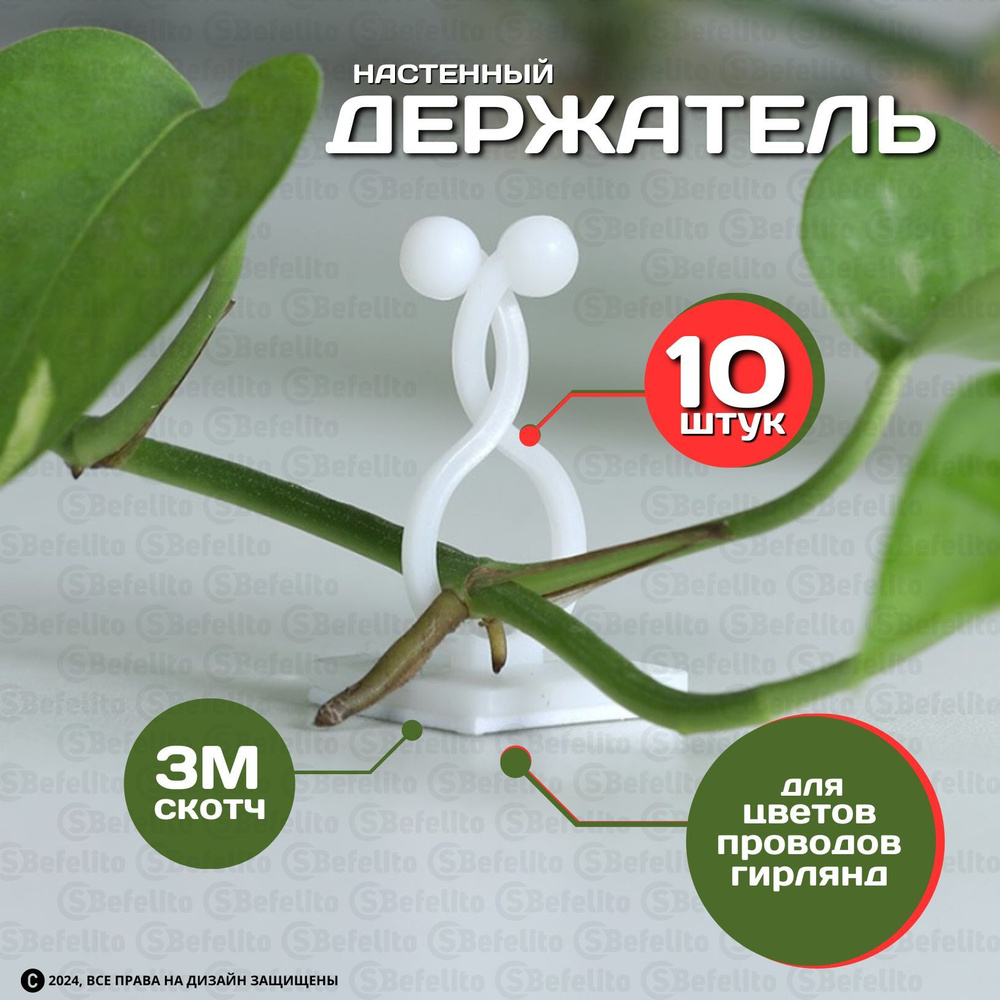 Держатели для растений, проводов, цветов и мелких предметов на стену ...