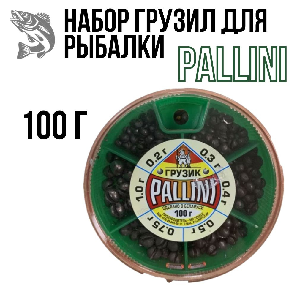 Набор грузов PALLINI 100гр #1