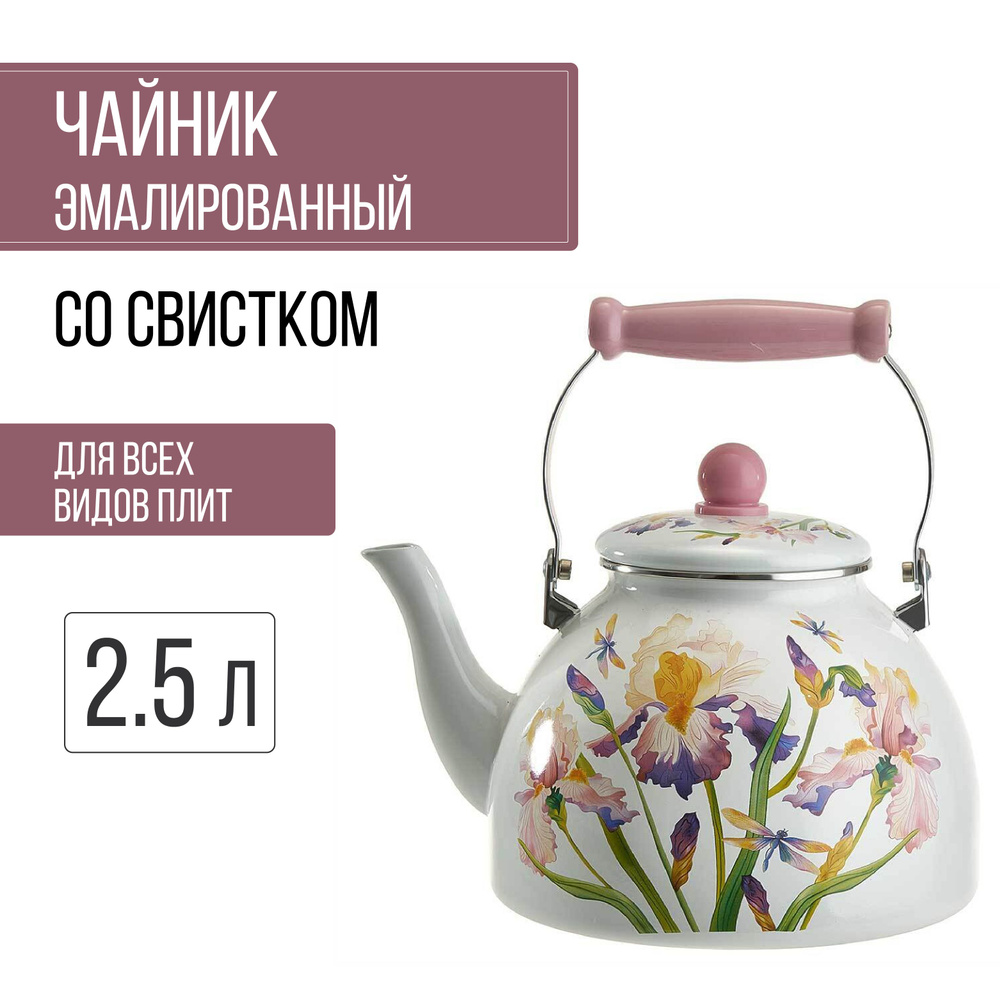 Чайник эмалированный для всех видов плит со свистком 2.5 л Ирисы  #1