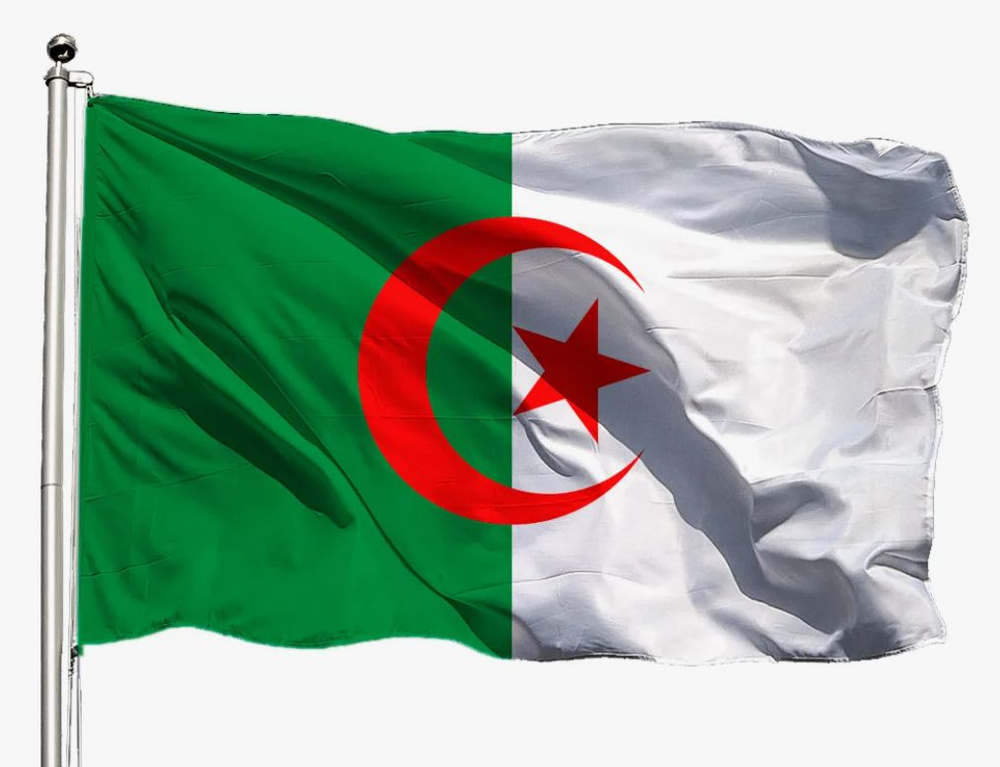 Флаг Алжира 40х60 см #1