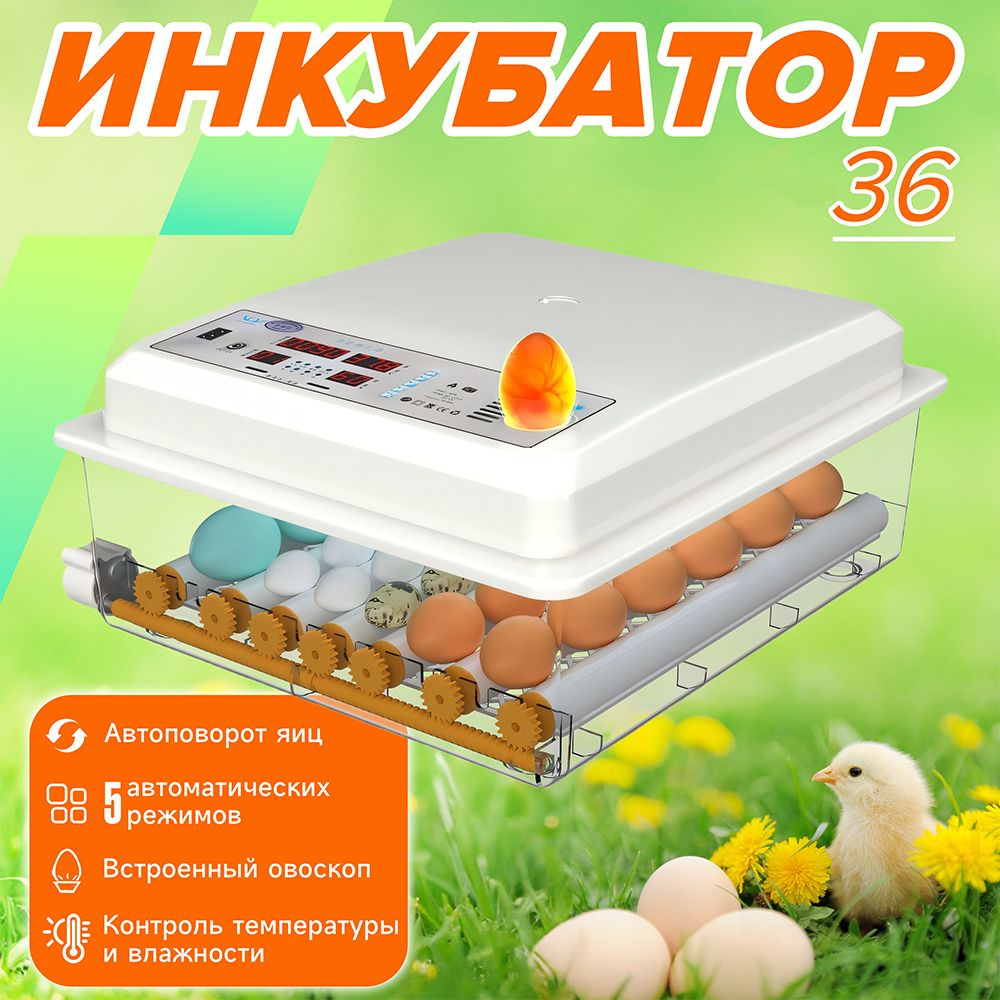 Инкубатор для яиц автоматический 36 с терморегулятором, гигрометром, овоскопом, автоповоротом на 36 куриных, #1