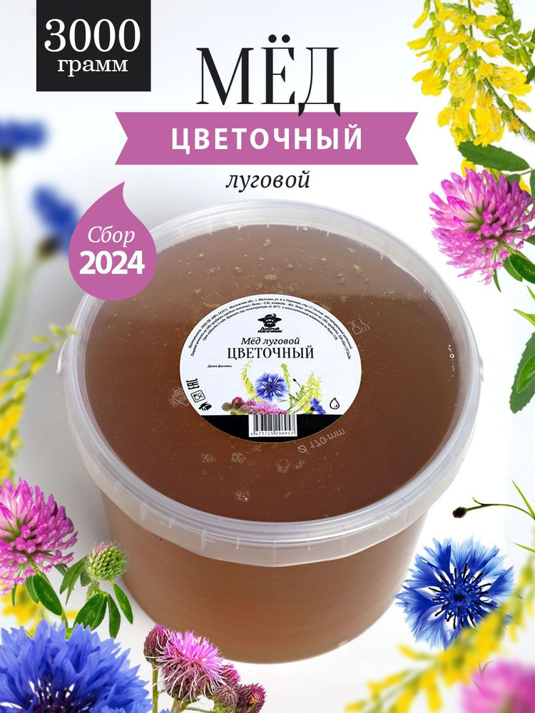 Мед луговой цветочный жидкий 3000 г, для здорового питания, для иммунитета  #1