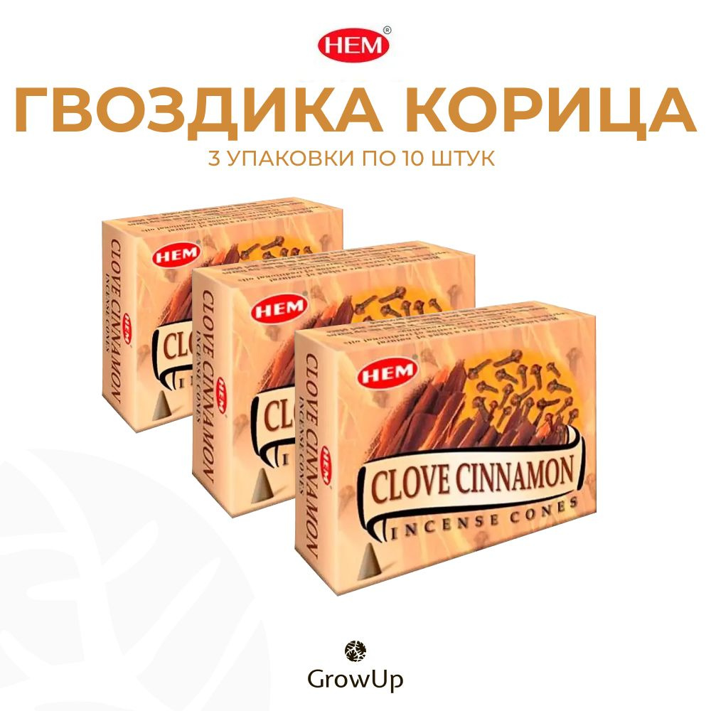 HEM Корица Гвоздика - 3 упаковки по 10 шт - ароматические благовония, конусовидные, конусы с подставкой, #1