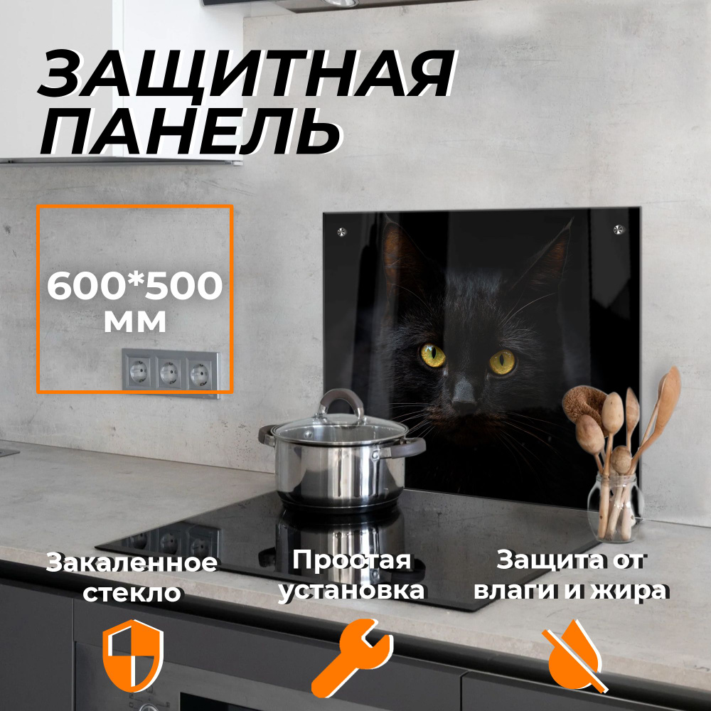 Защитный экран от брызг на плиту "Черный кот 2" 600х500 мм. Стеновая панель для кухни из закаленного #1