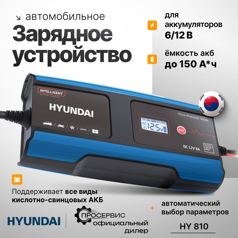 Авто зарядное устройство Hyundai НY 810 (для АКБ 6/12 В, 150 Ач), зарядка  для автомобильного аккумулятора - купить с доставкой по выгодным ценам в  интернет-магазине OZON (356882216)