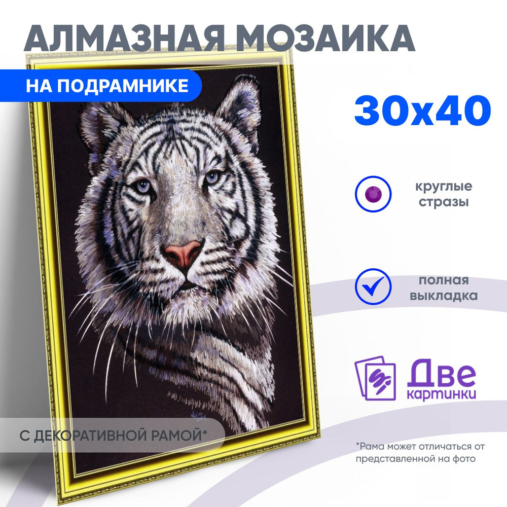 DVEKARTINKI Алмазная мозаика на подрамнике 30x40 см Полная выкладка круглые стразы 30х40Портрет белого #1