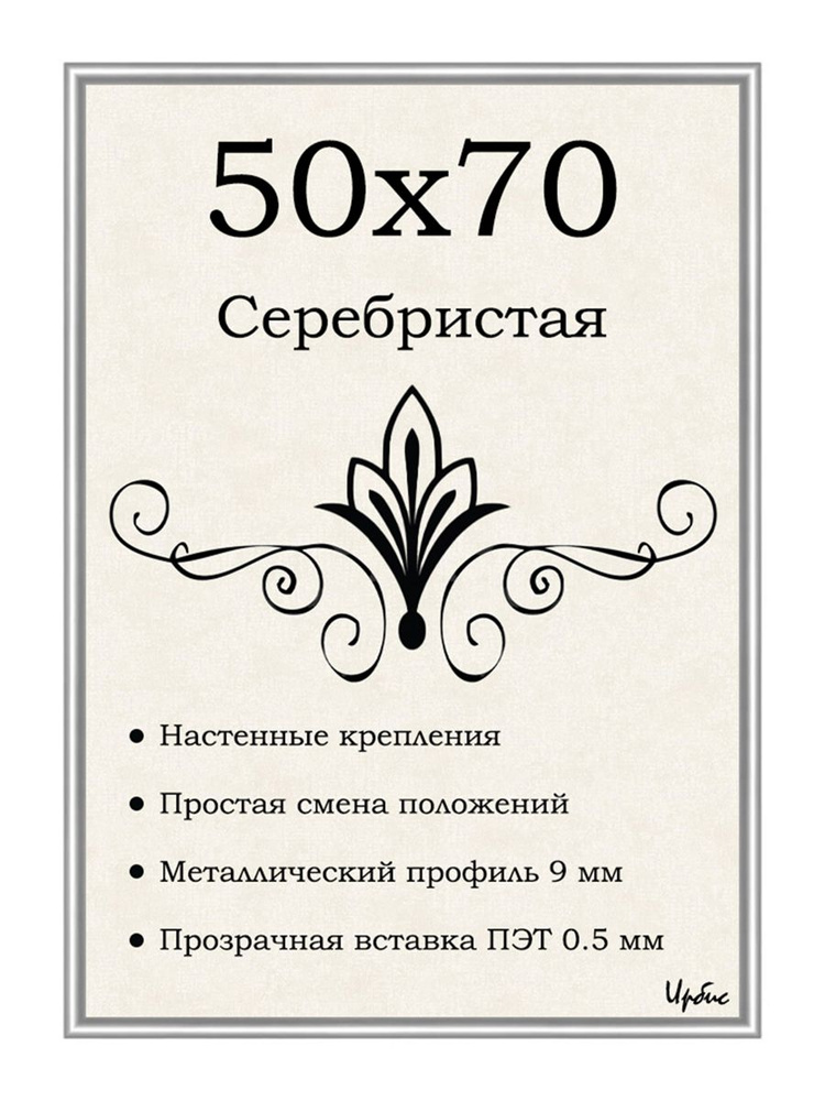 Фоторамка металлическая серебристая для постера, картины, фотографии 50х70 см  #1