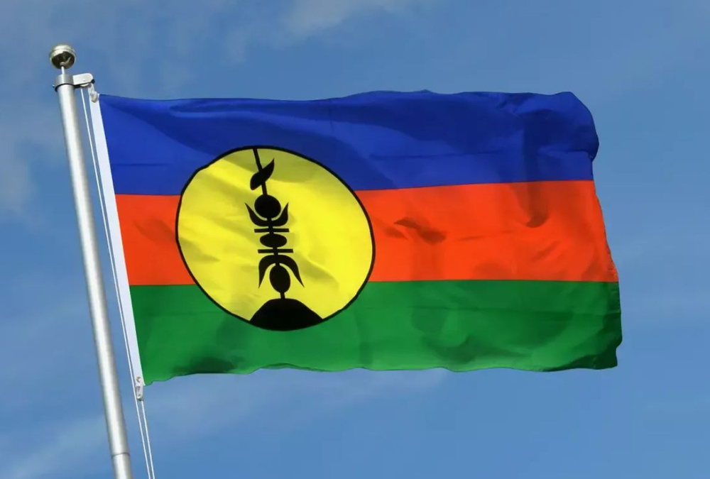 Флаг Новой Каледонии 90х135 см #1