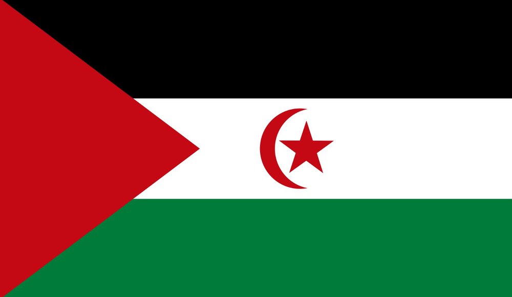 Флаг Западной Сахары 90х135 см с люверсами #1