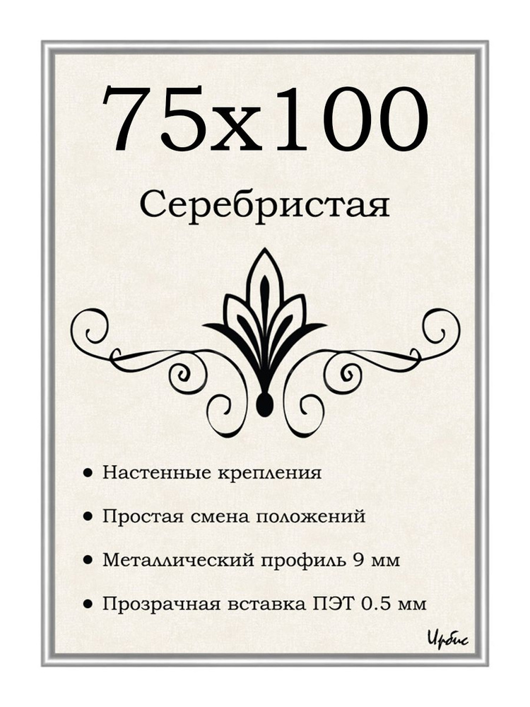 Фоторамка металлическая серебристая для постера, картины, фотографии 75х100 см  #1