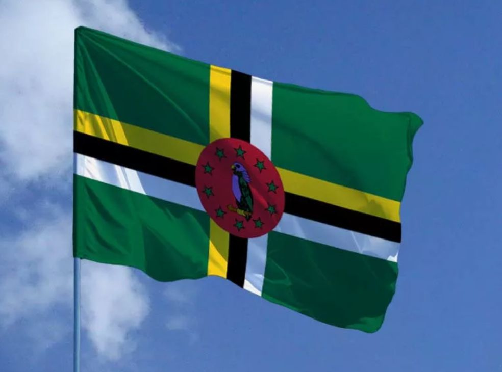 Двусторонний флаг Доминики 40х60 см на лодку, катер или яхту с люверсами  #1