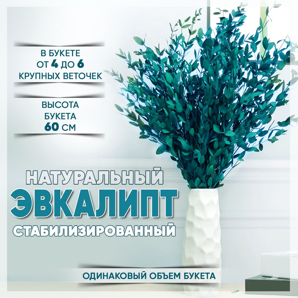 Candy-Land Сухоцветы Эвкалипт, 58 см, 270 гр, 1 шт #1