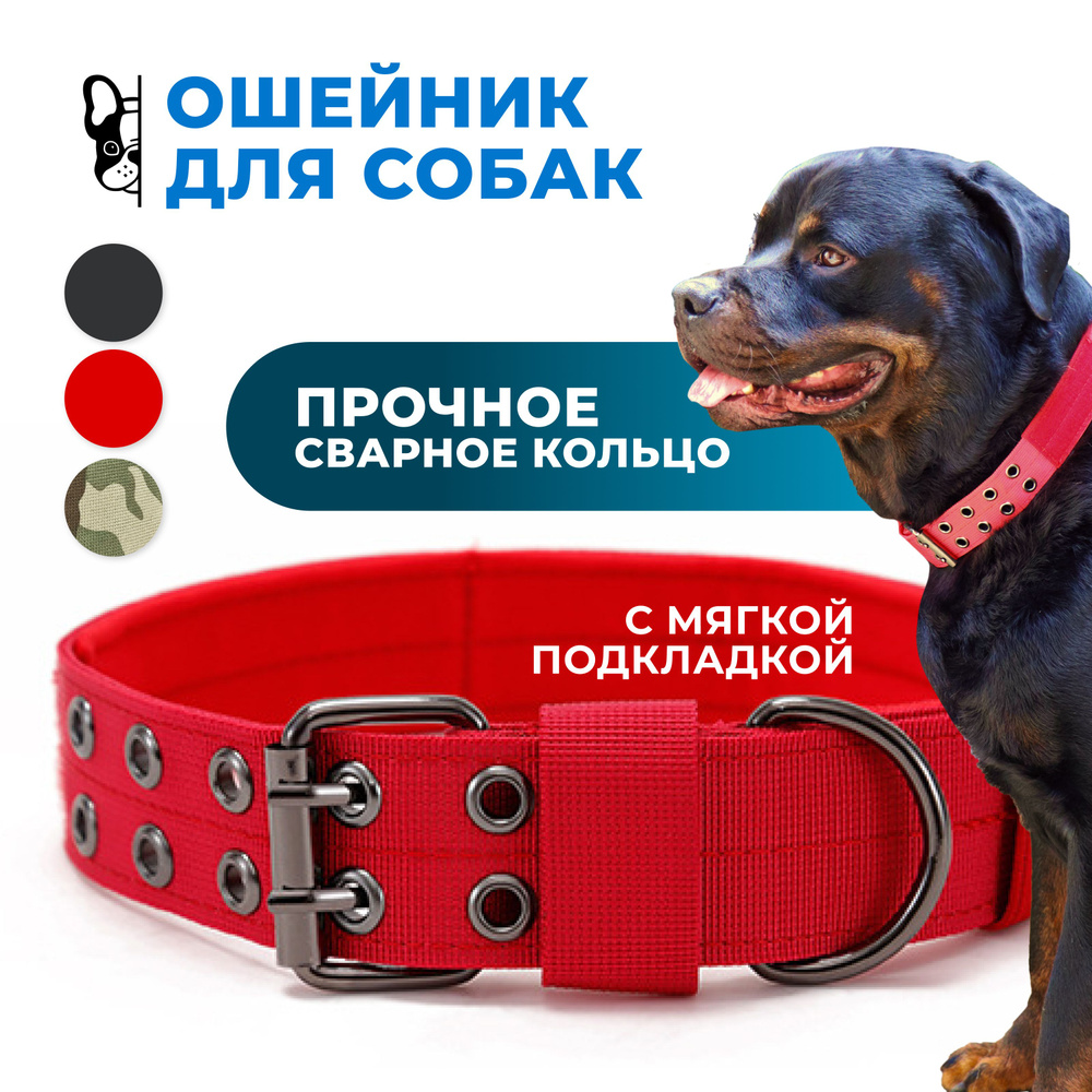 Ошейник для собак средних и крупных пород широкий / красный / размер L  #1