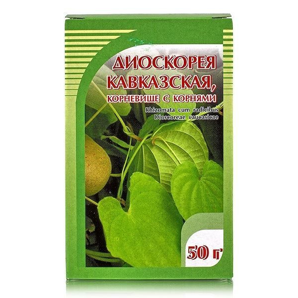 ДИОСКОРЕЯ КАВКАЗСКАЯ (лат. Dioscorea caucasica) - Лесосад