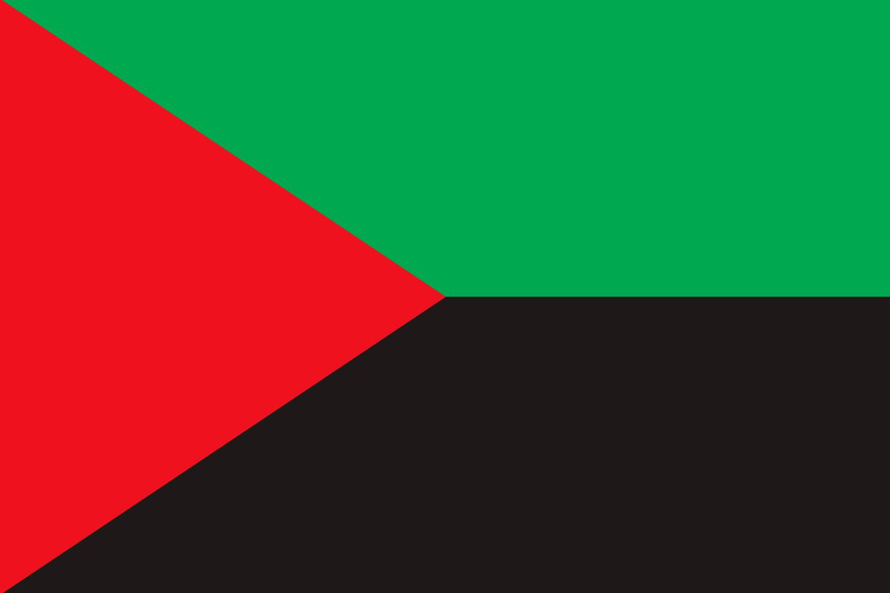 Флаг Мартиники 90х135 см #1