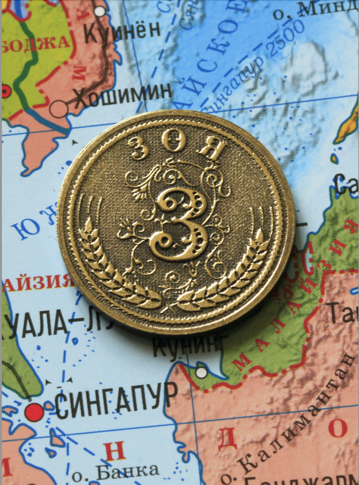 Именная сувенирная монетка в подарок на богатство и удачу для подруги, бабушки и внучки - Зоя  #1