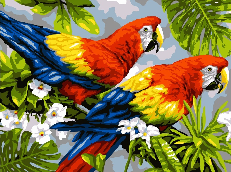 Картина по номерам на картонной основе LORI Пара попугаев, 38х28,5 см, антистресс в подарок  #1