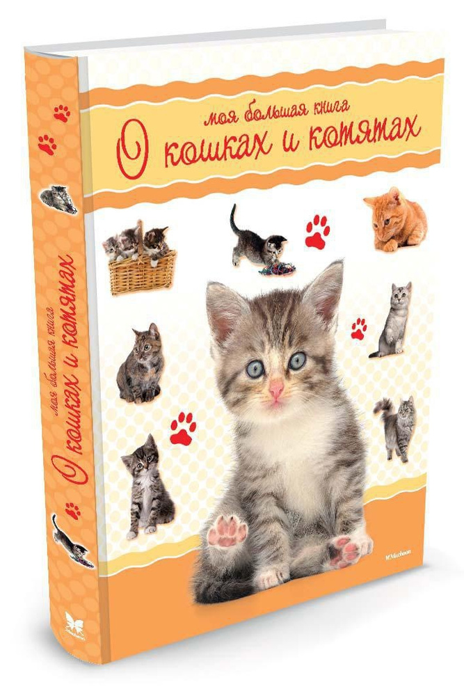 Моя большая книга о кошках и котятах | Куйе Наталья #1