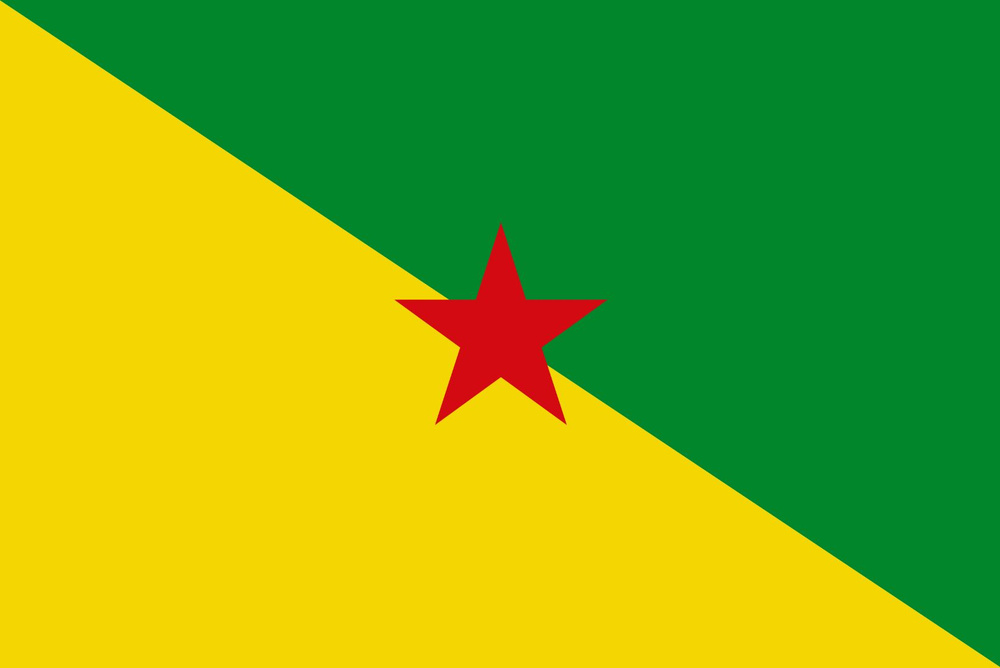 Флаг Гвианы 90х135 см с люверсами #1