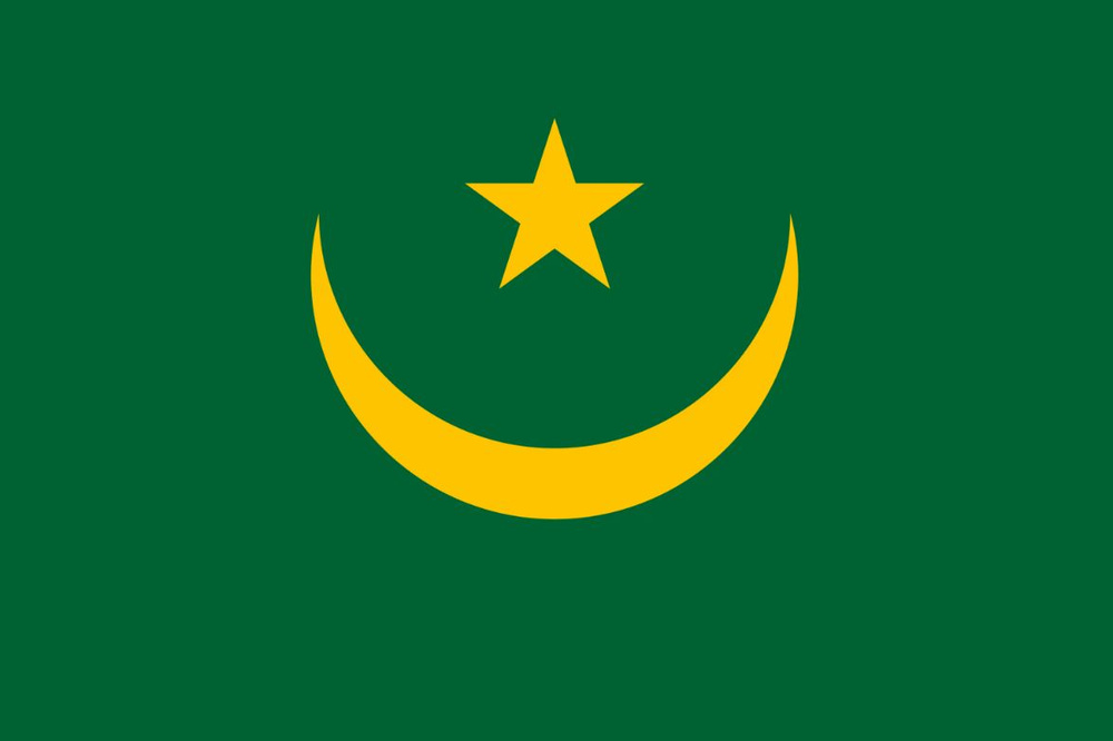 Флаг Мавритании 90х135 см #1