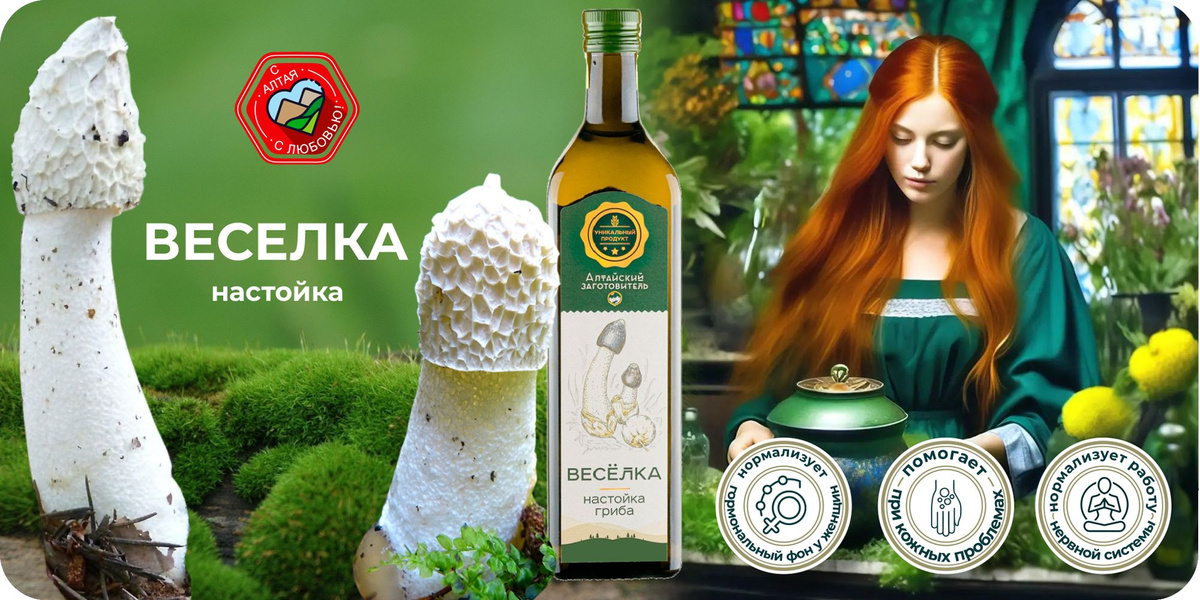 Экстракт гриба Веселка обыкновенная для иммунитета - Настойка гриба ...