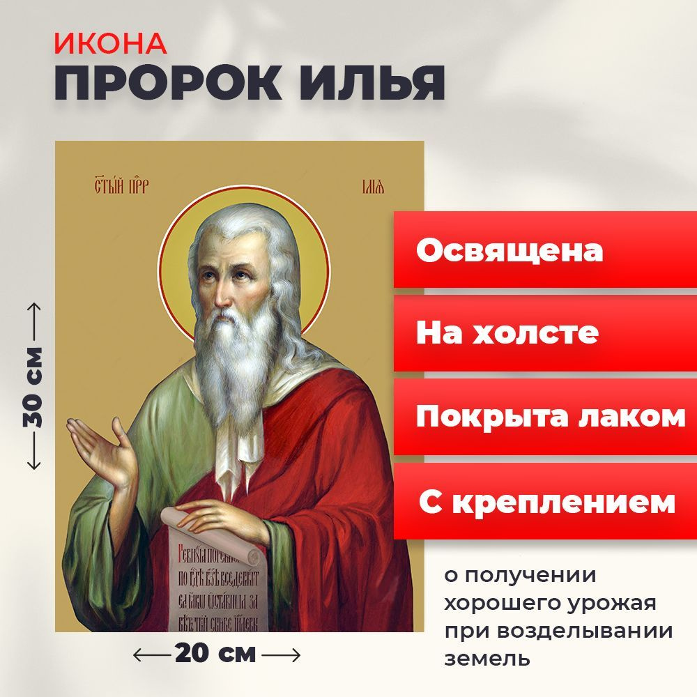 Освященная икона на холсте "Илья Пророк", 20*30 см #1