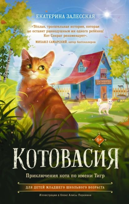 Котовасия. Приключения кота по имени Тигр | Залесская Екатерина Васильевна | Электронная книга  #1