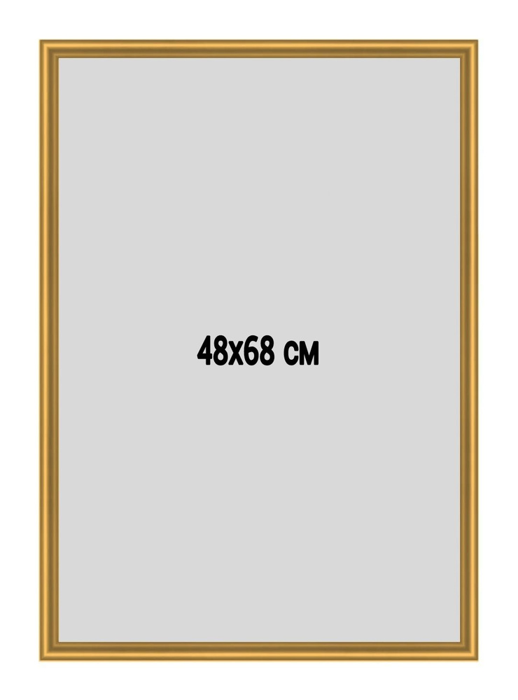 Фоторамка металлическая (алюминиевая) золотая для постера,фотографии,картины 48х68см.Рамка для зеркала.Подарок #1