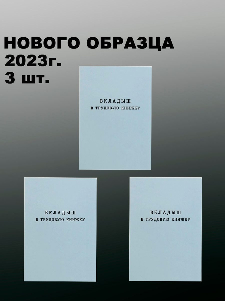 Гознак Бланк бухгалтерский B7 (8.8 × 12.5 см), листов: 22 #1