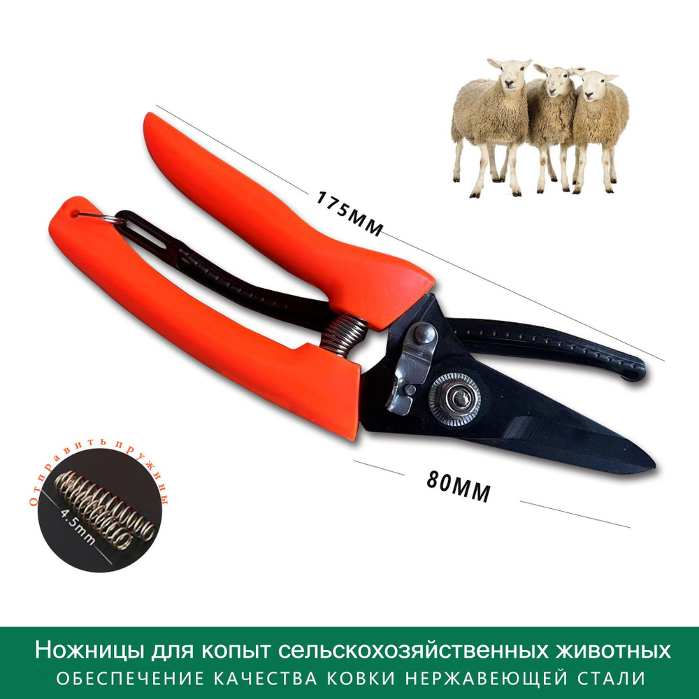 Ножницы для обрезки копыт коз овец / инструмент, секатор, кусачки ...