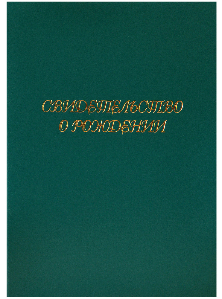 папка48 Папка с файлами A4 (21 × 29.7 см), 1 шт. #1