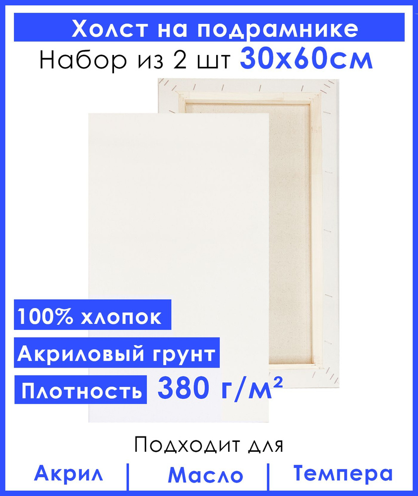 Холст грунтованный на подрамнике 30х60 см, двунитка хлопок 100%, для рисования, набор 2 шт.  #1