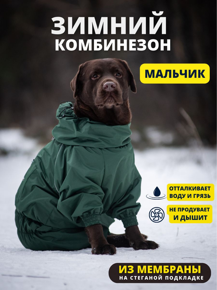 Комбинезон зимний для собак средних пород SNOW plus, 45+м (кобель), авокадо, 2XL+  #1