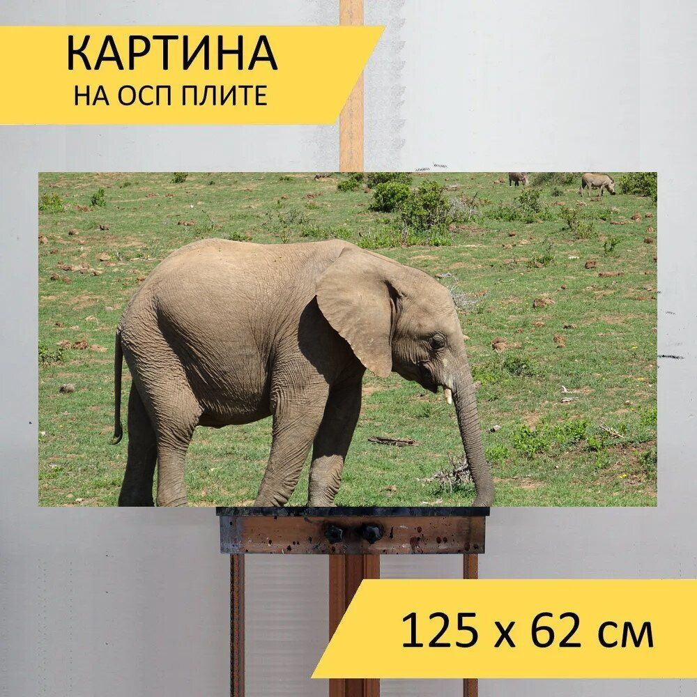 LotsPrints Картина "Слон, дикая природа, млекопитающее 92", 125 х 62 см  #1