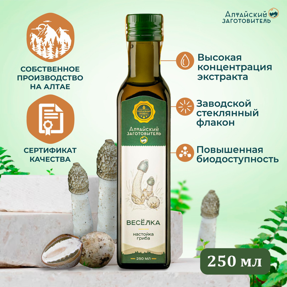 Экстракт гриба Веселка обыкновенная для иммунитета - Настойка гриба ...