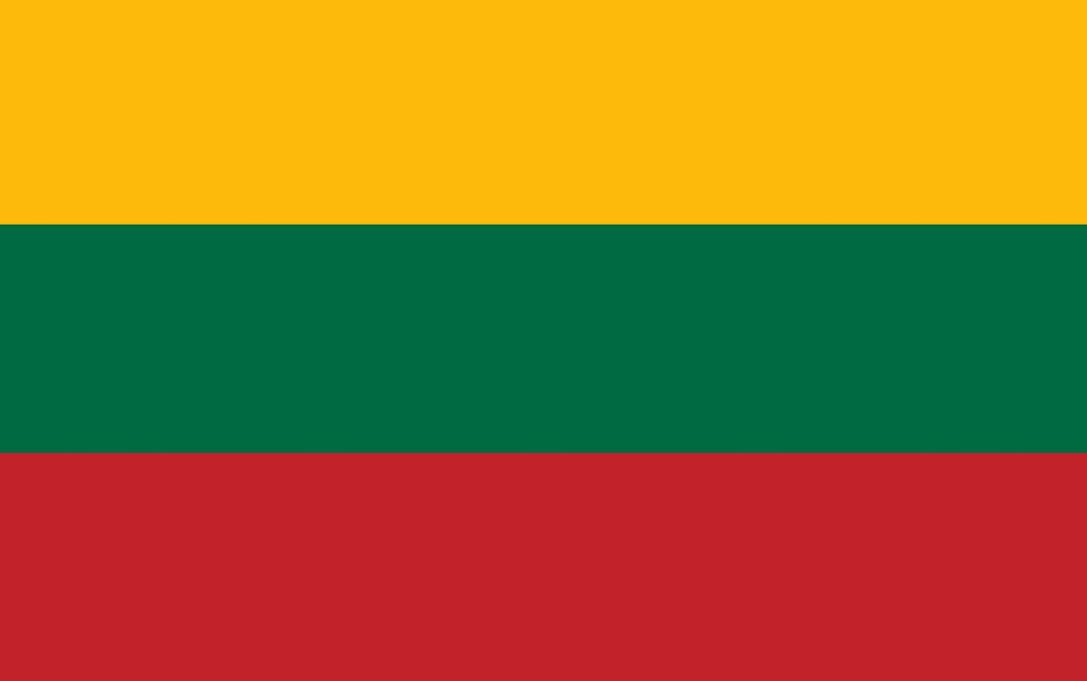 Флаг Литвы 40х60 см с люверсами #1