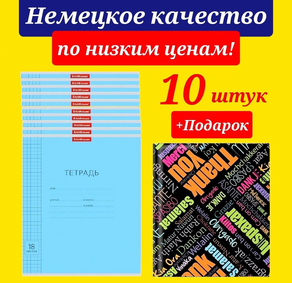 Тетрадь 18 листов в клетку Erich Krause 10 штук ГОЛУБАЯ пластиковая ПАПКА ДЛЯ ТЕТРАДЕЙ на резинке А5 #1