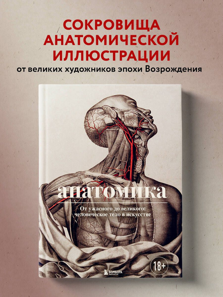 Анатомика. От ужасного до великого: человеческое тело в искусстве | Эбенштейн Джоанна  #1